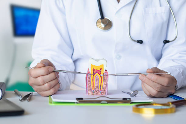 Best Emergency Root Canal Treatment in Decatur, MI